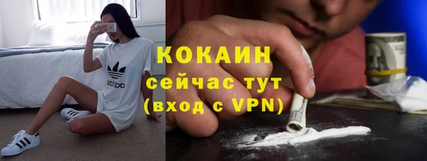 спиды Арсеньев