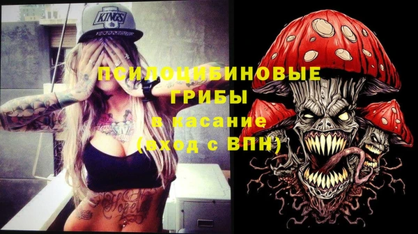 спиды Арсеньев