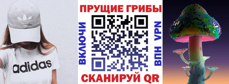 цены   Лесосибирск  Галлюциногенные грибы MAGIC MUSHROOMS 